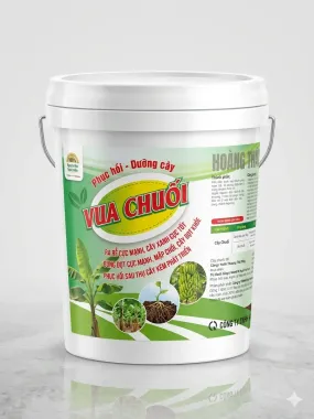 VÌ NÔNG – VUA CHUỐI: PHỤC HỒI & DƯỠNG CÂY TOÀN DIỆN